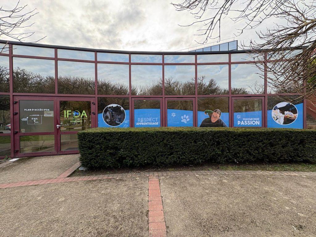 Etude fabrication et pose d'adhésifs pour école