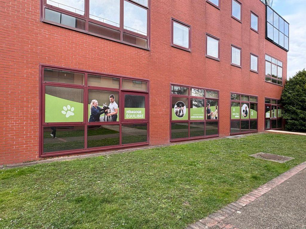 Etude fabrication et pose d'adhésifs pour école