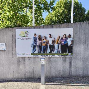 Enseigne Lycée à Saint-Rémy-de-Provence 🎓✨