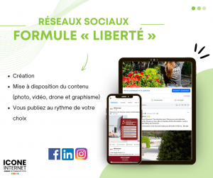 🌟 Posts pour réseaux sociaux : boostez votre visibilité avec Icône Internet
