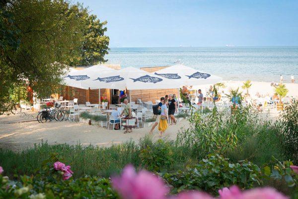 Parasol Easy Up 3mx3m – Image 4
