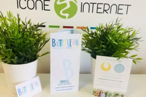 Cartes de visite et flyers pochettes rabats service icone internet