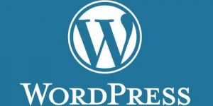 formation-WordPress-icone internet