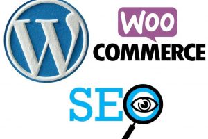 formation complete wordpress formation seo