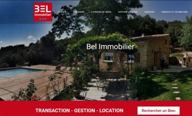 passerelle wordpress apimo